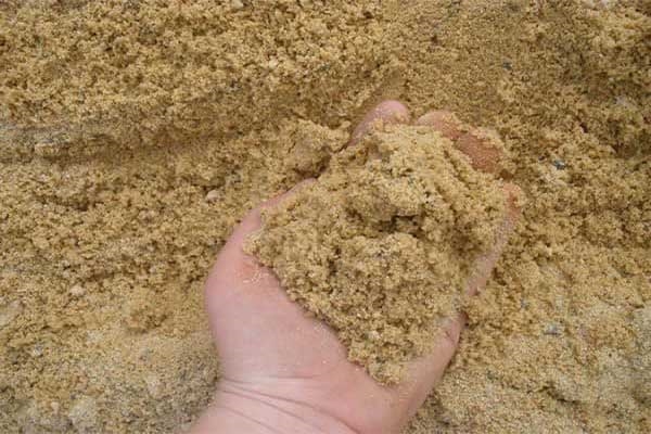 Tác hại khi sử dụng cát nhiễm mặn - Cách xử lý và phân biệt cát nhiễm mặn